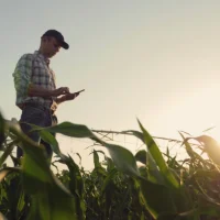 Les principales infos agricoles qui ont rythmé l’année 2025