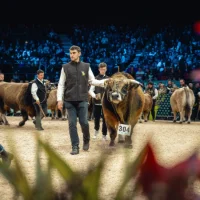 🐮 Sommet de l’Élevage 2025 : le programme complet des concours animaux