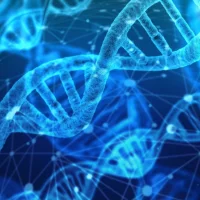 L'importance de la génétique dans la productivité des élevages