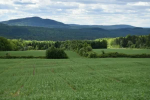 Réduire l'empreinte carbone de votre exploitation agricole : un guide complet