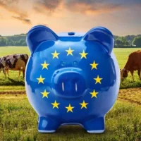 Revenus agricole : le grand écart entre les pays européens