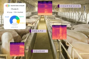 EARWISE : L'innovation acoustique pour un bien-être animal révolutionnaire en élevage