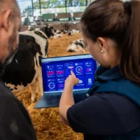 🏅 Lauréat Sommet d’Or 2025 : Vet Vision AI, l’IA au service du confort des troupeaux 🐄🤖