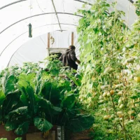 Baromètre 2026 : le marché du bio repart de l’avant