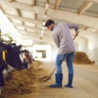 43% des agriculteurs gagnent moins qu’un Smic