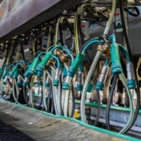 Prix d’un robot de traite : coût réel, investissement et rentabilité en élevage