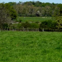 Le fermage : un socle agricole solide qui fête ses 80 printemps