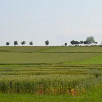 Limagrain, acteur majeur de l'économie agricole mais pas que...