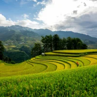 Modernisation, souveraineté, transmission : 257 millions d’euros investis pour transformer l’agriculture française