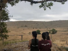 Année internationale des agricultrices : entre victoires et combats