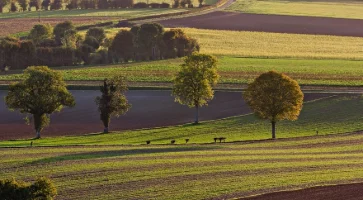 Soutenir l'agriculture française : un enjeu climatique, économique et social