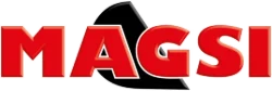 MAGSI