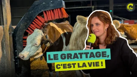 Carte Blanche à...Pauline Garcia | Le grattage, c'est la vie ! 🐄