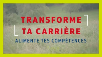 Carte Blanche à France Travail : immersion dans la filière viande
