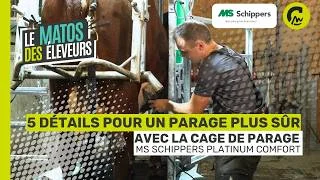 Matos des éleveurs | Cage de parage MS Schippers : 5 points clés pour travailler en sécurité