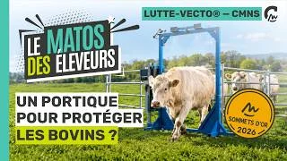 Matos des Éleveurs – CMNS – Lauréat d’Or 2026