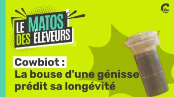 Le Matos des Eleveurs | Cowbiot, la bouse d'une génisse prédit sa longévité