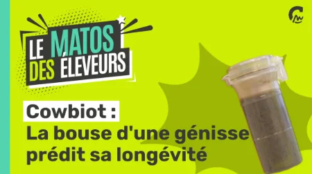 Le Matos des Eleveurs | Cowbiot, la bouse d'une génisse prédit sa longévité