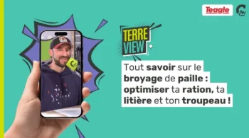Terre View | Tout savoir sur le broyage de paille : optimiser ta ration, ta litière et ton troupeau (avec Teagle Machinery)