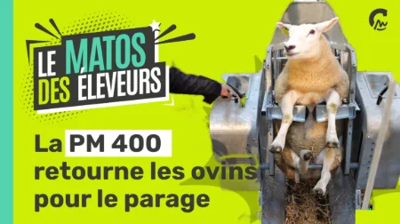 Le Matos des éleveurs l La PM 400 retourne les ovins pour le parage