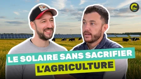 Terre View l Agrivoltaïsme : produire de l’électricité sans sacrifier l’agriculture 🌞🐄