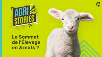 Agri Stories l Le Sommet de l'élevage en 3 mots