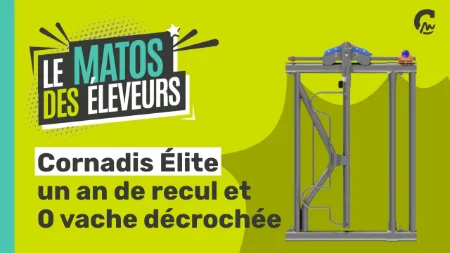 Matos des éleveurs l Contention sans prise de tête : le Cornadis Élite passe le test du terrain
