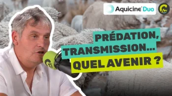 La Parole à... Claude Font | Transmission, prédation et avenir de l’élevage ovin 🐑