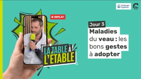 La Table à l’Étable l Maladies du veau : les bons gestes à adopter (avec Boehringer)