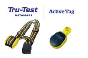 Solutions de monitoring Bovin Active Tag