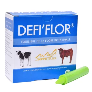 Défi’Flor - Aliment complémentaire fermenté - Equilibre de la flore intestinale