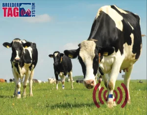 Breeder Tag System
