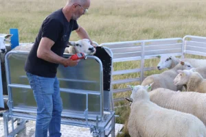 Veno MultiHandler pour remorque multifonctionnelle pour moutons