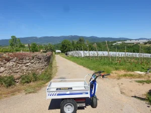 Dumper D1