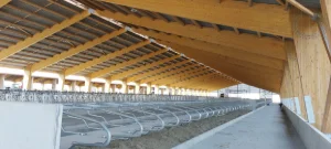 Bâtiments à charpentes en bois lamellé-collé