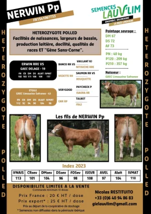 NERWIN Pp - HETEROZYGOTE POLLED - SEMENCES LAUV'LIM