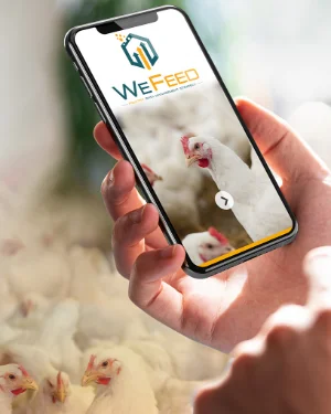 Wefeed Volaille