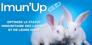 Imun'up lapin