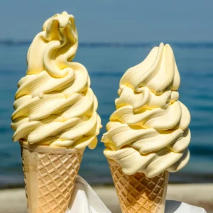 Machine à Glace à l'Italienne pour valoriser son lait X 100