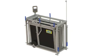 DraftMaster