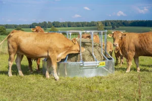 Râtelier circulaire anti-gaspillage PATURA